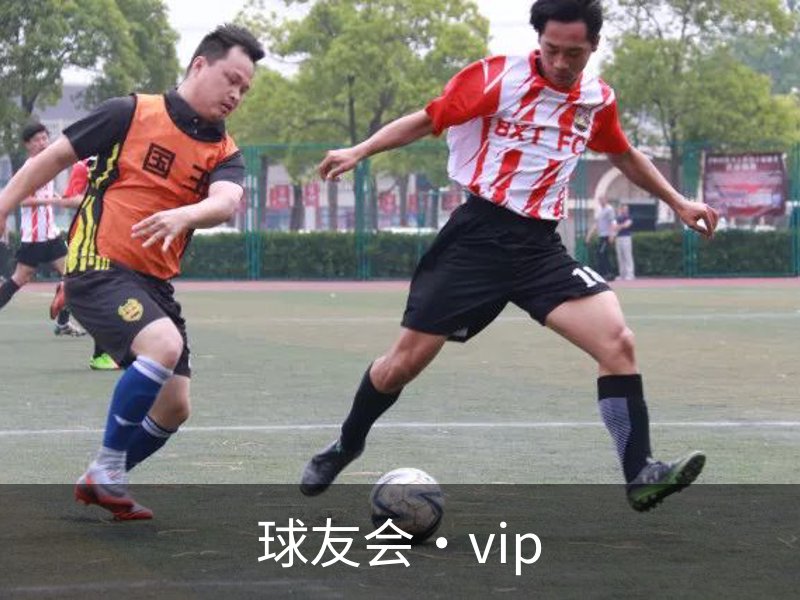 球友会·vip品牌故事